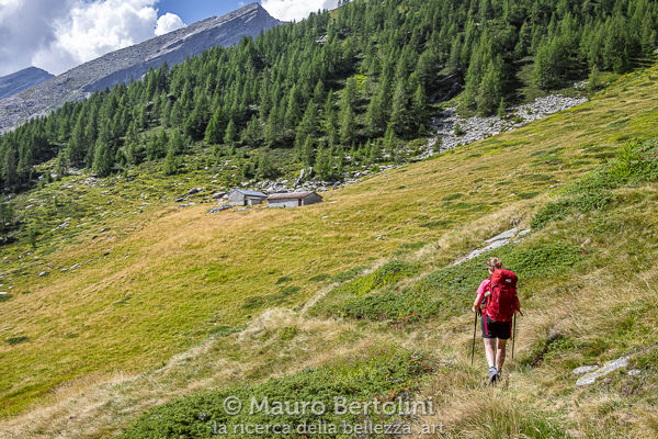 Alp d'Ocola
Mesocco, Grigioni, Svizzera
Fujifilm X-E2 + Fujifilm XF 23mm f/2 R WR
Codice: 18.FB.1092