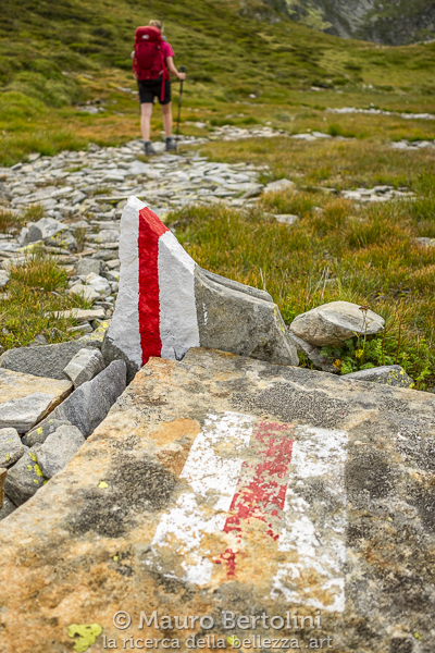 Di bianco rosso bianco dipinti, segnalini lungo il Sentiero Alpino Calanca
Mesocco, Grigioni, Svizzera
Fujifilm X-E2 + Fujifilm XF 23mm f/2 R WR
Codice: 18.FB.1096