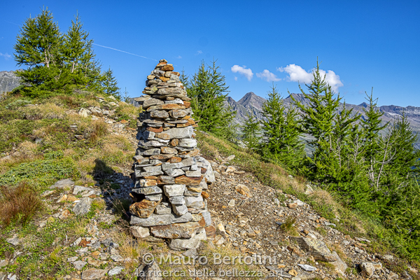 Ometto presso la Bocchetta del Büscenel

Rossa, Grigioni, Svizzera
Fujifilm X-E2 + Fujifilm XF 23mm f/2 R WR

Codice: 18.FB.1151