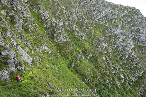 Il sentiero taglia di traverso il ripido pendio

Rossa, Grigioni, Svizzera
Fujifilm X-E2 + Fujifilm XF 23mm f/2 R WR

Codice: 18.FB.1153