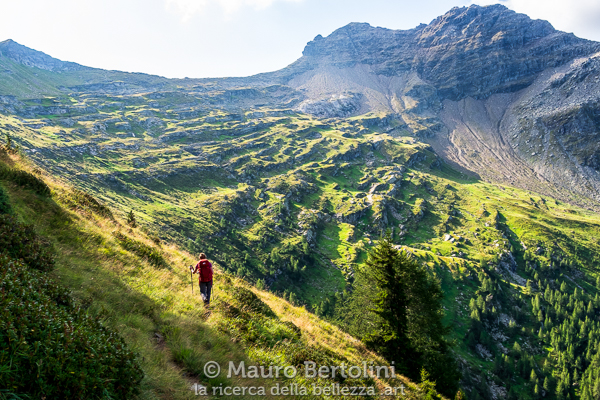 Aion de Sora e Piz de Groven, balze erbose dell'anfiteatro roccioso

Rossa, Grigioni, Svizzera
Fujifilm X-E2 + Fujifilm XF 23mm f/2 R WR

Codice: 18.FB.1211