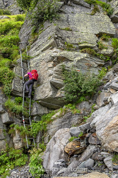 La scala a pioli del crepaccio

Rossa, Grigioni, Svizzera
Fujifilm X-E2 + Fujifilm XF 23mm f/2 R WR

Codice: 18.FB.1228