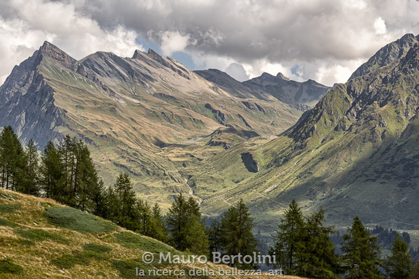 Val Vignun (ramificazione della Valle Mesolcina)
Mesocco, Grigioni, Svizzera
Fujifilm X-T2 + Fujifilm XF 56mm f/1.2 R
Codice: 18.FA.3757