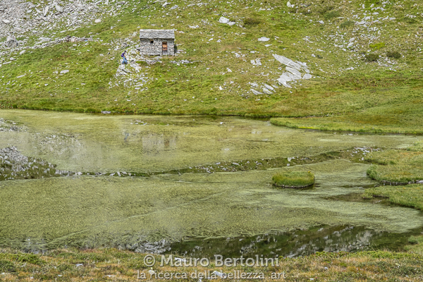 Lagh di Passit
Mesocco, Grigioni, Svizzera
Fujifilm X-T2 + Fujifilm XF 56mm f/1.2 R
Codice: 18.FA.3761