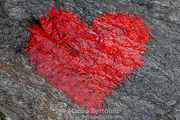 Cuore del Sentiero Alpino Calanca

Rossa, Grigioni, Svizzera
Fujifilm X-T2 Fujifilm + XF 56mm f/1.2 R

Codice: 18.FA.3798