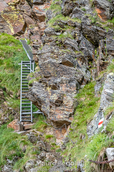 La doppia scalinata del Nomnom

Rossa, Grigioni, Svizzera
Fujifilm X-T2 + Fujifilm XF 56mm f/1.2 R

Codice: 19.FA.3811