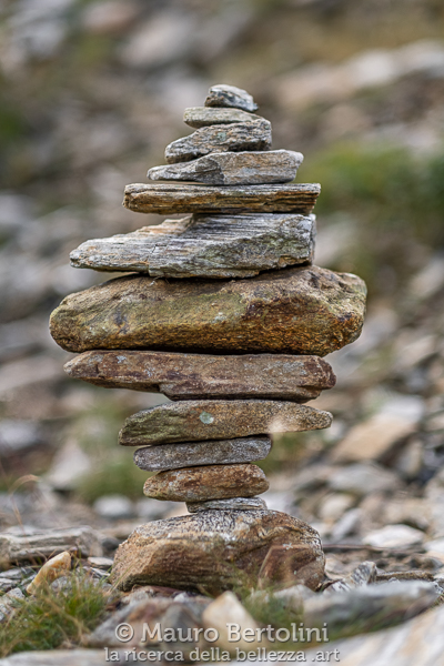 Equilibrio n.3, ometto di sassi

Rossa, Grigioni, Svizzera
Fujifilm X-T2 + Fujifilm XF 56mm f/1.2 R

Codice: 19.FA.3842