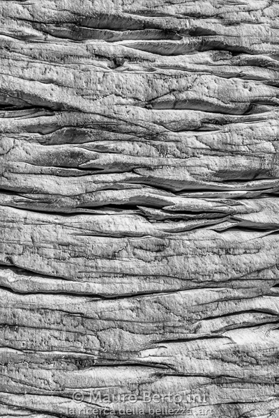 Ghiacciaio Fellaria: le forme dei suoi ghiacci
Lanzada, Sondrio, Italia
DJI Mavic 2 Pro
Codice: 19.DA.0244