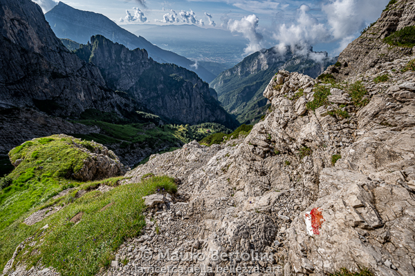 Le rocce de La Schiara, la Valle dell'Ardo, il Rifugio VII Alpini in una radura, Belluno sul finire

Belluno, Italia
Sony A7 III + Canon EF 16-35mm f/4L IS USM

Codice: 19.SA.0647