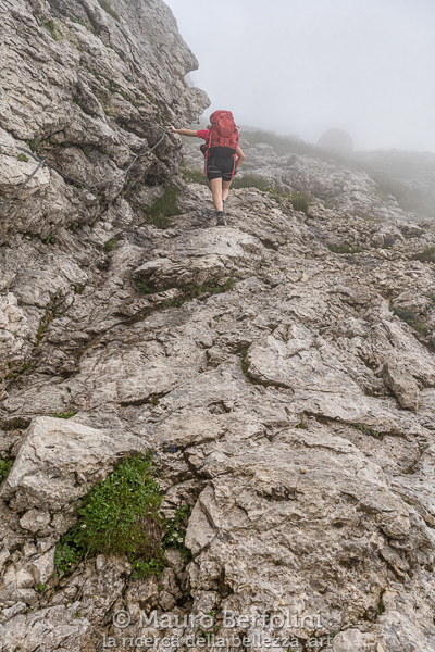 Sentiero attrezzato in arrivo al Bivacco del Marmol
Belluno, Italia
Sony A7 III + Canon EF 16-35mm f/4L IS USM

Codice: 19.SA.0666