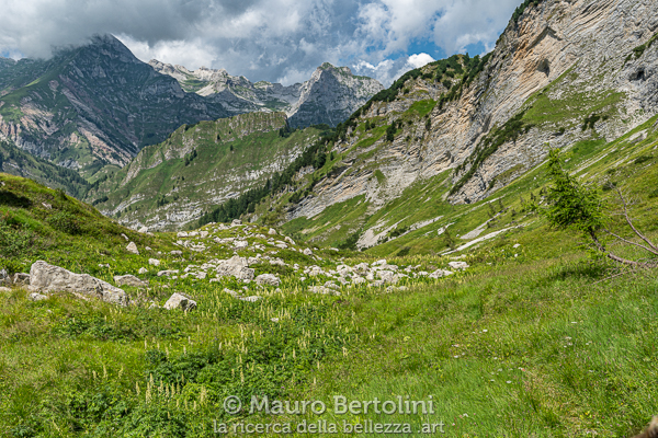 Val de Nerville, da qualche parte la traccia ci attende

Sedico, Belluno, Italia
Sony A7 III + Canon EF 16-35mm f/4L IS USM

Codice: 19.SA.0672