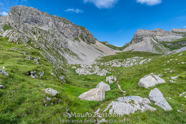 Il sentiero percorre i prati della Van de Zità de Fora (valle)

Longarone, Belluno, Italia
Sony A7 III + Canon EF 16-35mm f/4L IS USM

Codice: 19.SA.0691