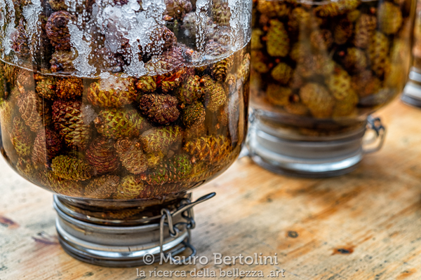 Alpin Convention (1°&nbsp;premio)