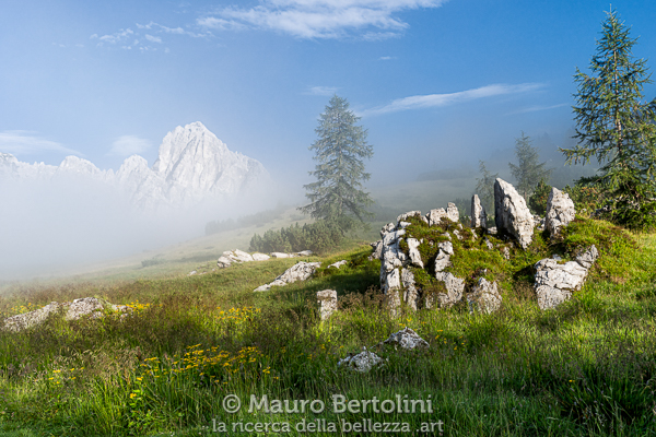 Basse nebbie mattutine fra Pra della Vedova e Castello de Moschesin

Longarone, Belluno, Italia
Sony A7 III + Canon EF 16-35mm f/4L IS USM

Codice: 19.SA.0698