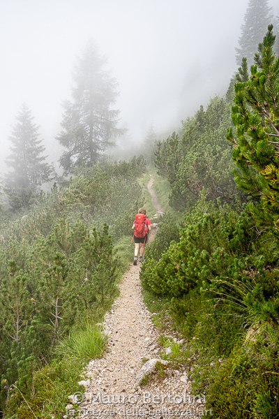 Sentiero fra i mughi, discesa verso Malga del Moschesin

Taibon Agortino, Belluno, Italia
Sony A7 III + Canon EF 16-35mm f/4L IS USM

Codice: 19.SA.0707