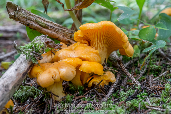 Alta Via delle Dolomiti n.1 – Tappa&nbsp;4