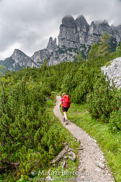 Sentiero CAI 554 diretto a Forcella del Camp, sullo sfondo Pala del Camp (sx), Tridente e Torri del Camp (dx)

Taibon Agortino, Belluno, Italia
Sony A7 III + Canon EF 24-70mm f/4L IS USM

Codice: 19.SA.0725