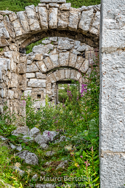 Resti del Forte del Moschesin invasi dalla vegetazione

La Valle Agordina, Belluno, Italia
Fujifilm X-T2 + Fujifilm XF 56mm f/1.2 R

Codice: 19.FA.4888