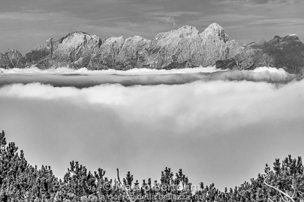 Gruppo delle Pale di San Martino da Croda Grande (sx) a Monte Agnèr (dx) sopra un mare di nubi

La Valle Agordina, Belluno, Italia
Fujifilm X-T2 + Fujifilm XF 56mm f/1.2 R

Codice: 19.FA.4897