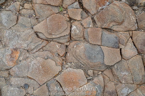 Il selciato nei pressi di Malga del Moschesin La Valle Agordina, Belluno, Italia Fujifilm X-T2 + Fujifilm XF 56mm f/1.2 R Codice: 19.FA.4913