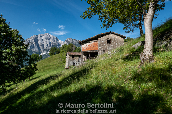 Alpe Crevesto in primo piano, il Grignone sullo sfondo
Primaluna, Lecco, Italia

Panasonic Lumix LX100 II

Codice: 21.PA.0989