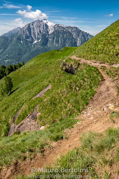 Il sentiero diretto a Bocchetta d'Olino si affaccia sul Grignone
Primaluna, Lecco, Italia

Panasonic Lumix LX100 II

Codice: 21.PA.1014