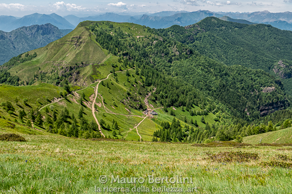 Panorama da Bocchetta di Agoredo: Val Marcia, Alpe Dolcigo, Cima d'Olino
Primaluna, Lecco, Italia

Panasonic Lumix LX100 II

Codice: 21.PA.1032