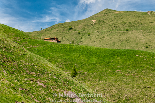 Alpe Agoredo
Primaluna, Lecco, Italia

Panasonic Lumix LX100 II

Codice: 21.PA.1045