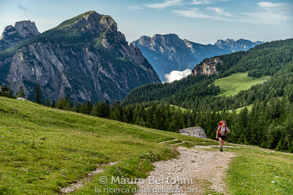Il paesaggio lungo il sentiero per Sella di Pelsa

Alleghe, Belluno, Italia
Sony A7 III + Canon EF 24-70mm f/4L IS USM

Codice: 19.SA.0736