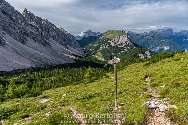 Sentieri e panorami nei pressi del Rifugio Attilio Tissi, in lontananza la valle appena percorsa

Alleghe, Belluno, Italia
Sony A7 III + Canon EF 24-70mm f/4L IS USM

Codice: 19.SA.0737