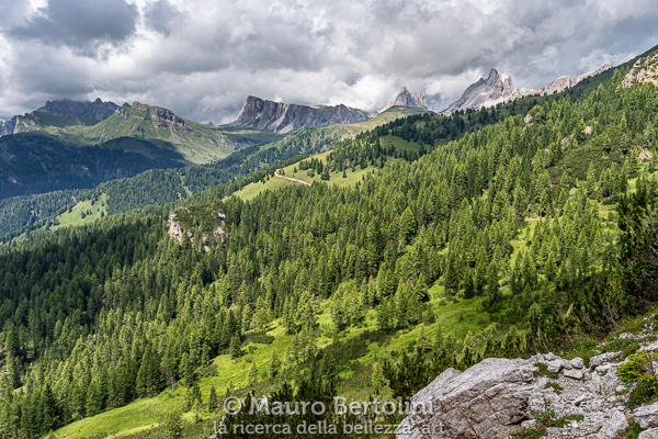 Boschi a perdita d'occhio, montagne da scoprire e nubi temporalesche all'orizzonte

Borca di Cadore, Belluno, Italia
Sony A7 III + Canon EF 16-35mm f/4L IS USM

Codice: 19.SA.0761
