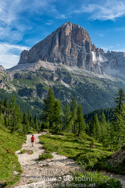 Sentiero di discesa verso il Passo Falzarego, Tofane a troneggiare la valle

Cortina d'Ampezzo, Belluno, Italia
Sony A7 III + Canon EF 16-35mm f/4L IS USM

Codice: 19.SA.0811