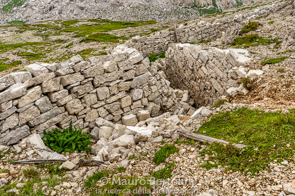 Resti di una profonda trincea nella landa desolata di Col dei Bois

Cortina d'Ampezzo, Belluno, Italia
Sony A7 III + Canon EF 16-35mm f/4L IS USM

Codice: 19.SA.0832