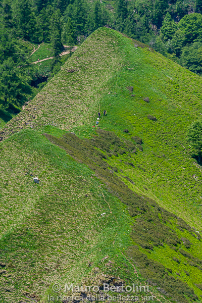 Vigili del Fuoco e il proprietario nel punto di calata
Primaluna, Lecco, Italia

Sony A7 III + Canon EF 70-200mm f/4L IS USM

Codice: 21.SA.3701