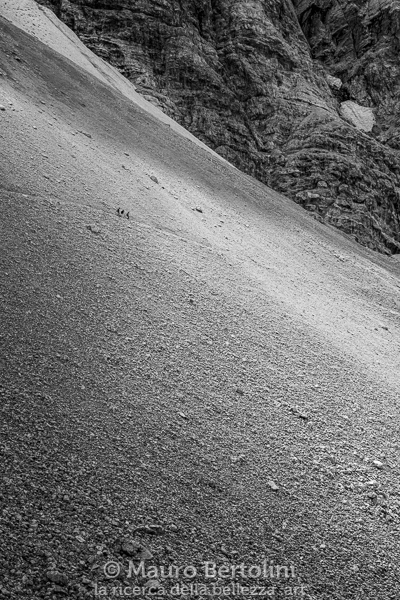 Il ghiaione di Val d'Arcia, il sentiero di discesa sotto il Monte Pelmo

Borca di Cadore, Belluno, Italia
Fujifilm X-T2 + Fujifilm XF 56mm f/1.2 R

Codice: 19.SA.4992