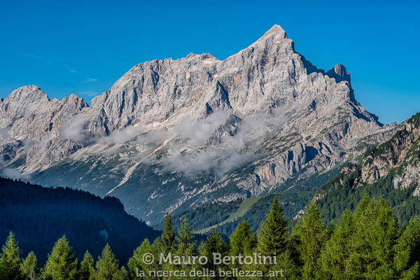 Civetta alle prime luci del mattino

Borca di Cadore, Belluno, Italia
Fujifilm X-T2 + Fujifilm XF 56mm f/1.2 R

Codice: 19.FA.4997