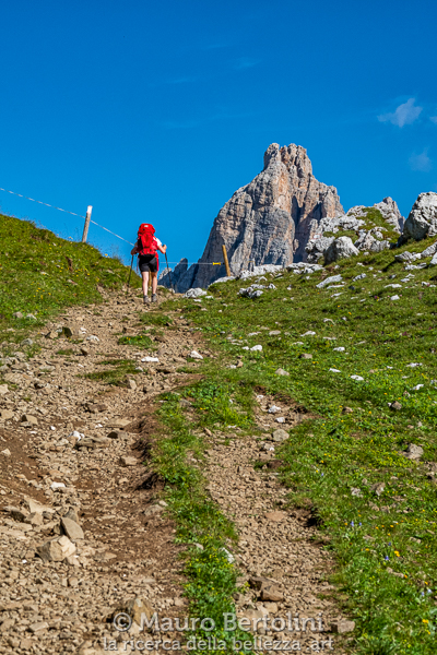 Forcella Col Duro e a sbucare Cima Ambrizzola

Borca di Cadore, Belluno, Italia
Fujifilm X-T2 + Fujifilm XF 56mm f/1.2 R

Codice: 19.FA.5009