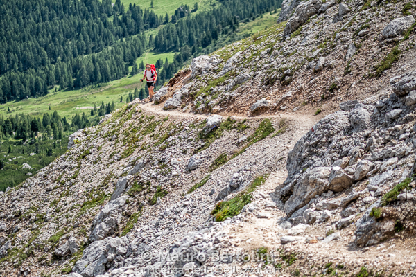L'ultima salita prima di giungere alla Ferrata Ra Gusela

Cortina d'Ampezzo, Belluno, Italia
Fujifilm X-T2 + Fujifilm XF 56mm f/1.2 R

Codice: 19.FA.5062