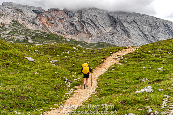 Camminando sotto la pioggia in direzione del Rifugio Biella
San Vigilio di Marebbe, Bolzano, Italia

Sony A7 III + Canon EF 24-70mm f/4L IS USM

Codice: 19.SA.0873