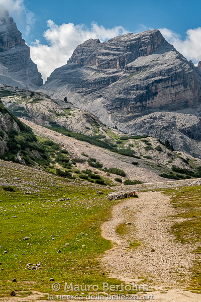 La strada sul fondo valle che porta al Rifugio Fanes, in lontananza il Passo del Lago

Marebbe, Bolzano, Italia
Fujifilm X-T2 + Fujifilm XF 56mm f/1.2 R

Codice: 19.FA.5113
