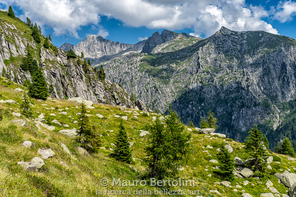 Panorama in Val Malene, Cima d'Asta sullo sfondo
Pieve Tesino, Trento, Italia
Sony A7 III + Canon EF 24-70mm f/4L IS USM
Codice: 20.SA.1805