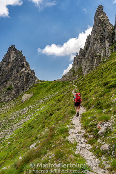 Il sentiero punta verso Forcella Quarazza Pieve Tesino, Trento, Italia Sony A7 III + Canon EF 24-70mm f/4L IS USM Codice: 20.SA.1811