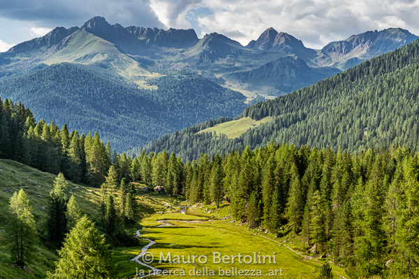 Val di Ravetta e i Lagorai sullo sfondo
Pieve Tesino, Trento, Italia
Sony A7 III + Canon EF 24-70mm f/4L IS USM
Codice: 20.SA.1816