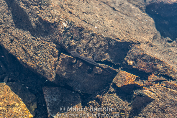 Alta Via del Granito – Tappa&nbsp;2