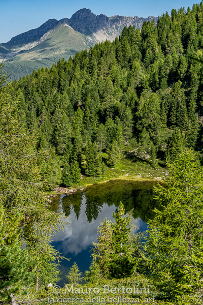 Lago di Nàssare immerso nel bosco, i Lagorai sullo sfondo
Pieve Tesino, Trento, Italia

Sony A7 III + Canon EF 24-70mm f/4L IS USM

Codice: 20.SA.1830