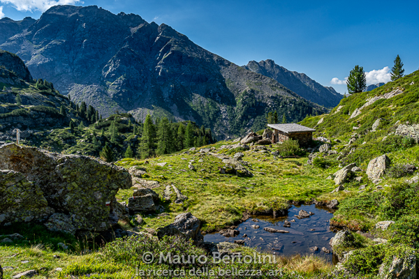 Baito Scagni
Pieve Tesino, Trento, Italia

Sony A7 III + Canon EF 24-70mm f/4L IS USM

Codice: 20.SA.1836
