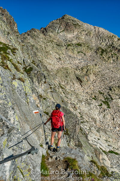 Dal sentiero attrezzato lo sguardo vola verso Cima d'Asta, nei pressi de La Forzelletta
Pieve Tesino, Trento, Italia

Sony A7 III + Canon EF 24-70mm f/4L IS USM

Codice: 20.SA.1849