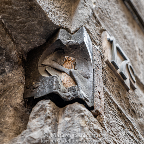 Stranezze, tema della Maratona Fotografica di Bergamo 2021
Bergamo, Italia

Sony A7 III + Sony FE 24-70mm f/4 ZA OSS Vario Tessar T*

Codice: 21.SA.3608