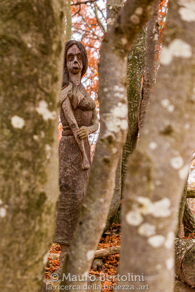 Scultura del Sentiero delle Espressioni
Schignano, Como, Italia

Panasonic Lumix LX100 II

Codice: 21.PA.2070