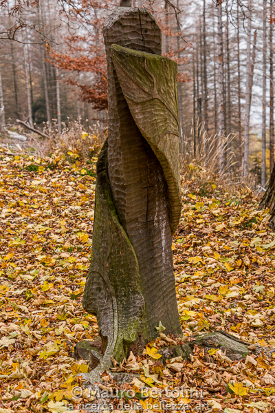 Scultura del Sentiero delle Espressioni
Schignano, Como, Italia

Panasonic Lumix LX100 II

Codice: 21.PA.2080